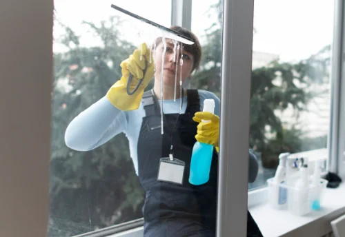 Nettoyage de vitres intérieures et extérieures à Olby